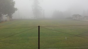 Monday's weather- Fog!